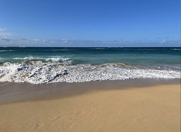 沙灘、浪花、陽光