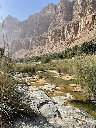 谷地一景 وادي طيوي