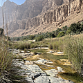 谷地一景 وادي طيوي