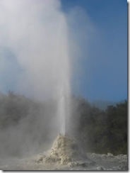 IMG_5443 IMG_5443