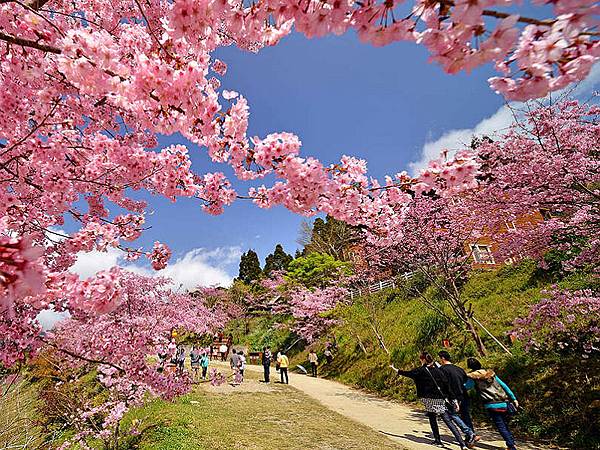 8f17110220180221 8f17110220180221