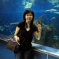 20050528-台北海洋館