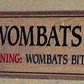 Wombats!!!