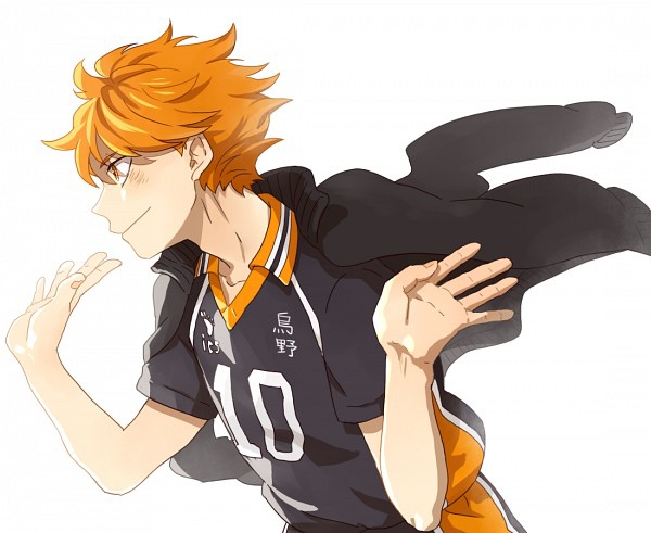 Hinata.Shouyou.600.1710664.jpg