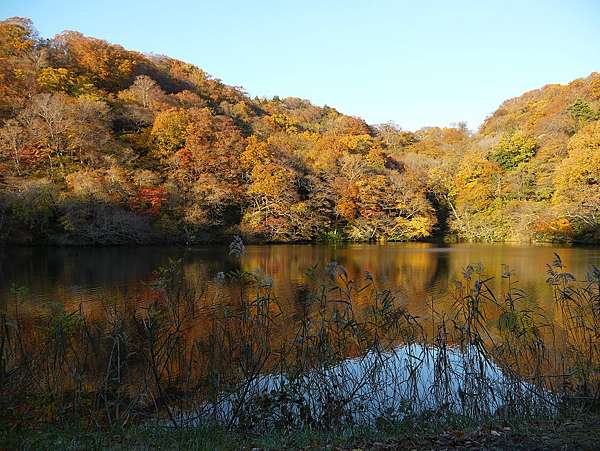 14日本東北紅葉之旅 白神山地 十二湖散策 Sabrina的部落格 痞客邦