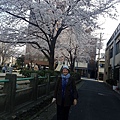 京都姐妹D1：天氣好好啊~！！！_170618_0021.jpg