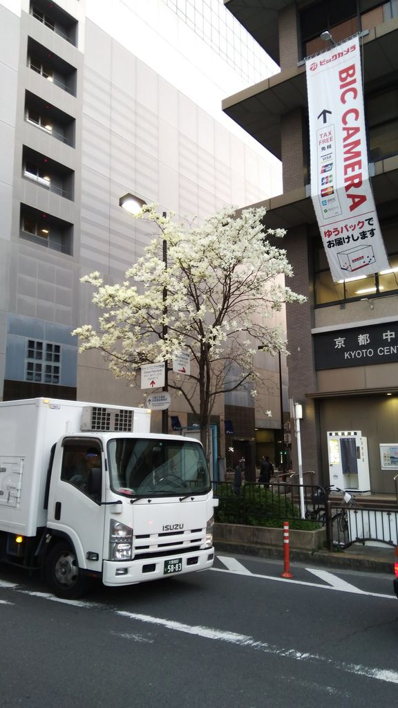 京都姐妹D1:天氣好好啊~!!!_170618_0117.jpg 京都姐妹D1:天氣好好啊~!!!_170618_0117.jpg