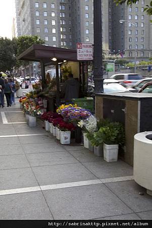 IMG_0072 IMG_0072