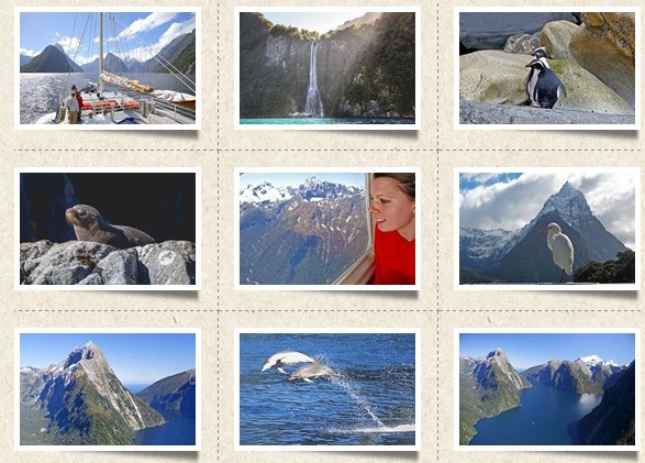 milford sound.jpg