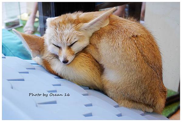 P1060263_副本.jpg P1060263_副本.jpg