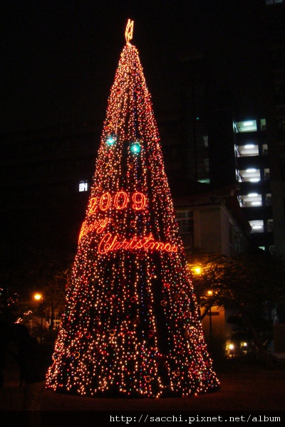 文藻の耶誕樹( 2009 ).JPG