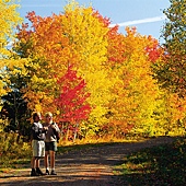 PEI Autumn