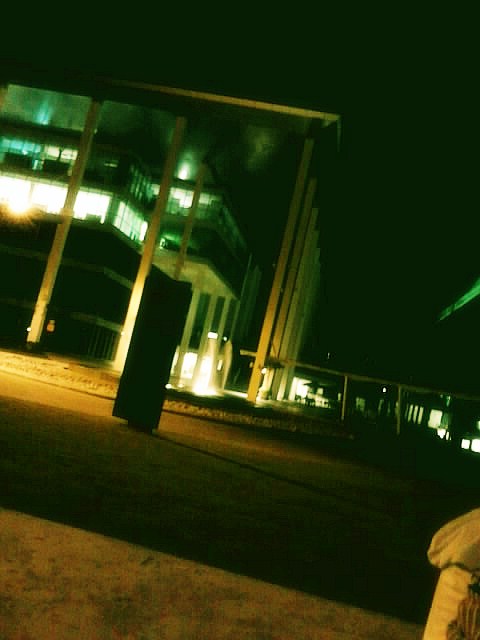 夜晚泰萊 夜晚泰萊