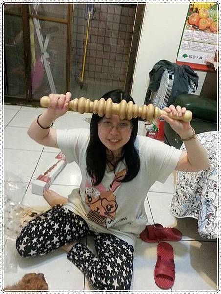 試用