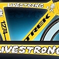 armstrong04.jpg