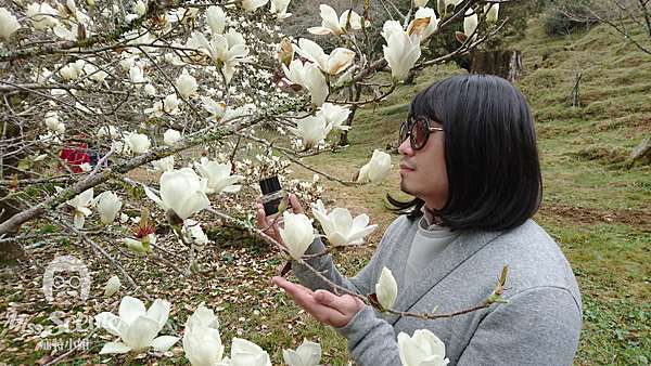 Frederic Malle Eau De Magnolia 木蘭之水 Miss Scenter 疝特小姐 痞客邦 Frederic Malle Eau De Magnolia 木蘭之水 Miss Scenter 疝特小姐 痞客邦