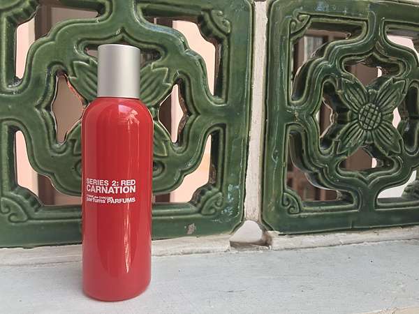 comme des garcons carnation