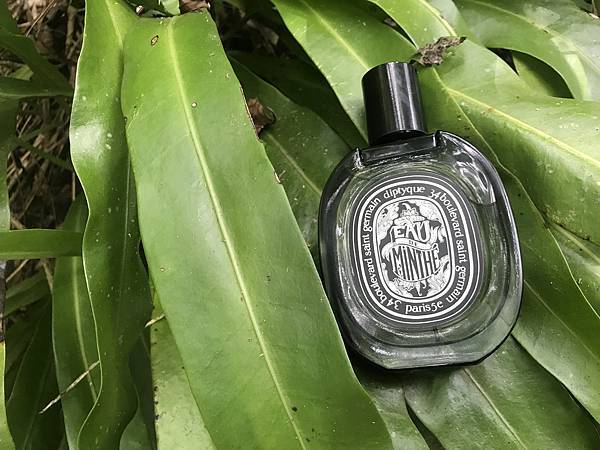 [心得] diptyque Eau de Minthé 青蕨
