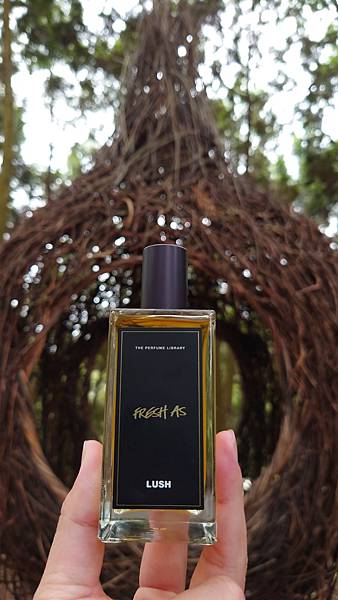 [心得] LUSH Fresh as 鮮綠森林
