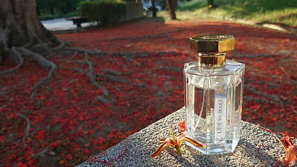 [心得] COLOR 顏色特輯