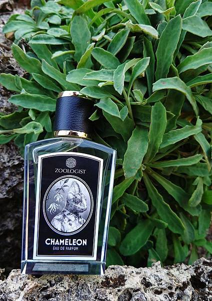 [心得] Zoologist Chameleon 變色龍
