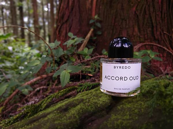 [心得] BYREDO Accord Oud 和諧沉香