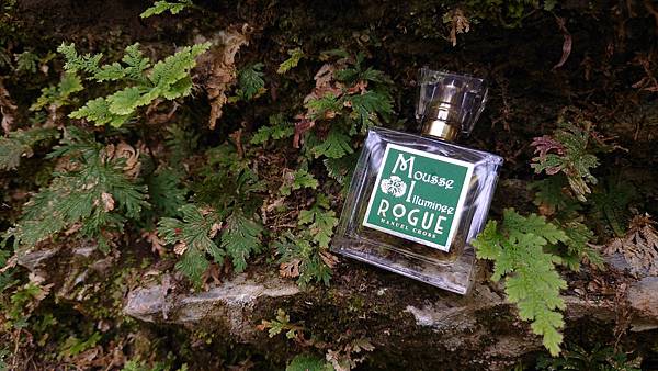 [心得] Rogue Mousse Illuminee 暗黑苔蘚