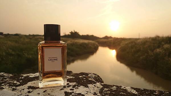 [心得] CELINE Bois Dormant 夢林