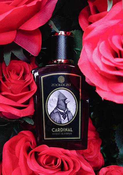 [心得] Zoologist Cardinal 紅雀