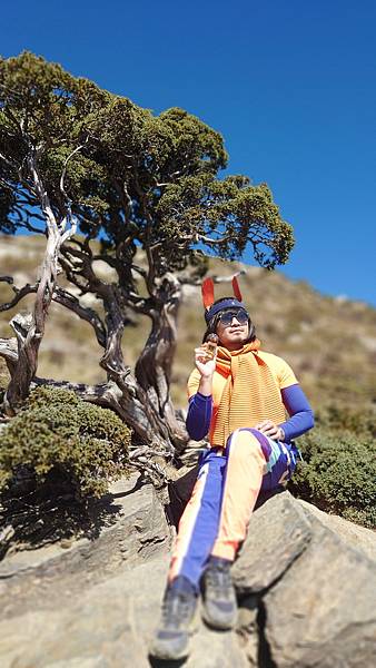 [心得] Stora Skuggan Azalai 孤旅樹