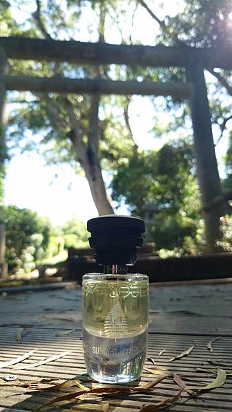 [心得] Masque Sleight of Fern 黑蕨