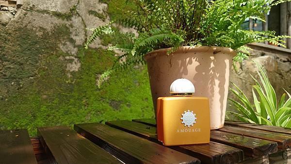 [心得] AMOUAGE Beach Hut 逐浪女香