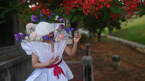 [心得] Zoologist Hummingbird 蜂鳥