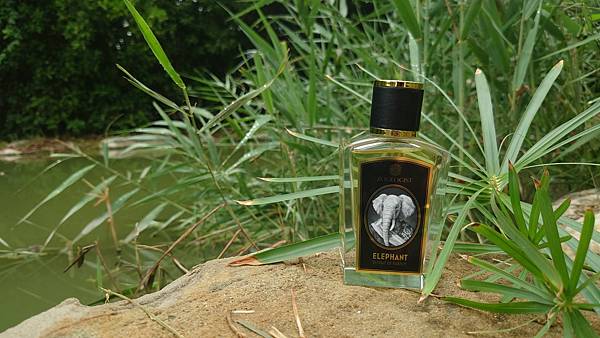 [心得] Zoologist Elephant 大象