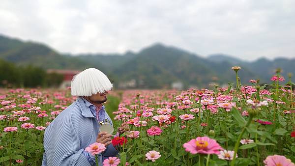 [心得] Santa Maria Novella Cinquanta 盟約50