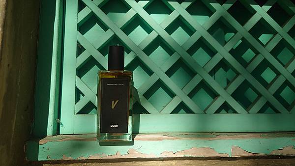 [心得] LUSH V