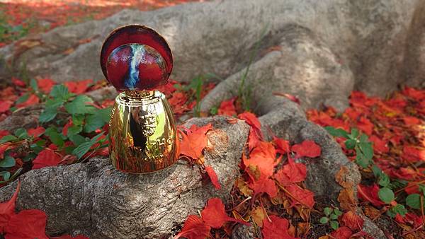 [心得] Agatho Castiamanti 蜜戀