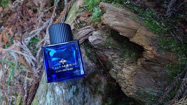 [心得] Thameen Carved Oud 雪巖沉香