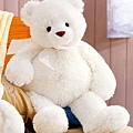 teddy bear 2