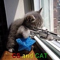 CS cat