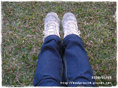 20090103-16.JPG 20090103-16.JPG