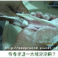 搓泡網5.JPG