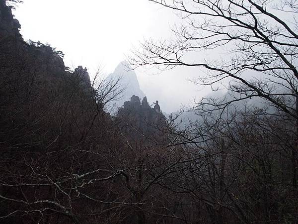 P3170542.JPG P3170542.JPG