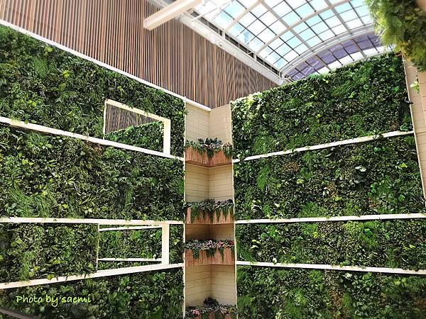 1887983A-E3C9-4CEB-B488-7232DA523A15.jpeg 1887983A-E3C9-4CEB-B488-7232DA523A15.jpeg