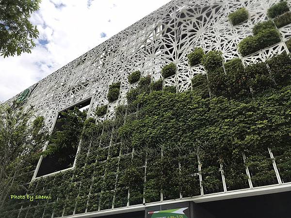 2D80D353-02F5-4A03-A5A4-6BCD031349FA.jpeg 2D80D353-02F5-4A03-A5A4-6BCD031349FA.jpeg