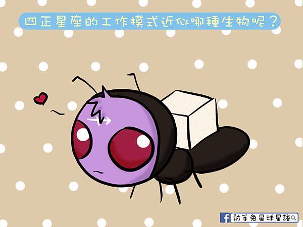 2016.12.13.jpg 2016.12.13.jpg