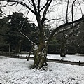 011兼六園.JPG