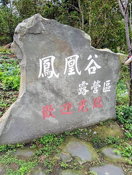 IMG_4619.JPG IMG_4619.JPG