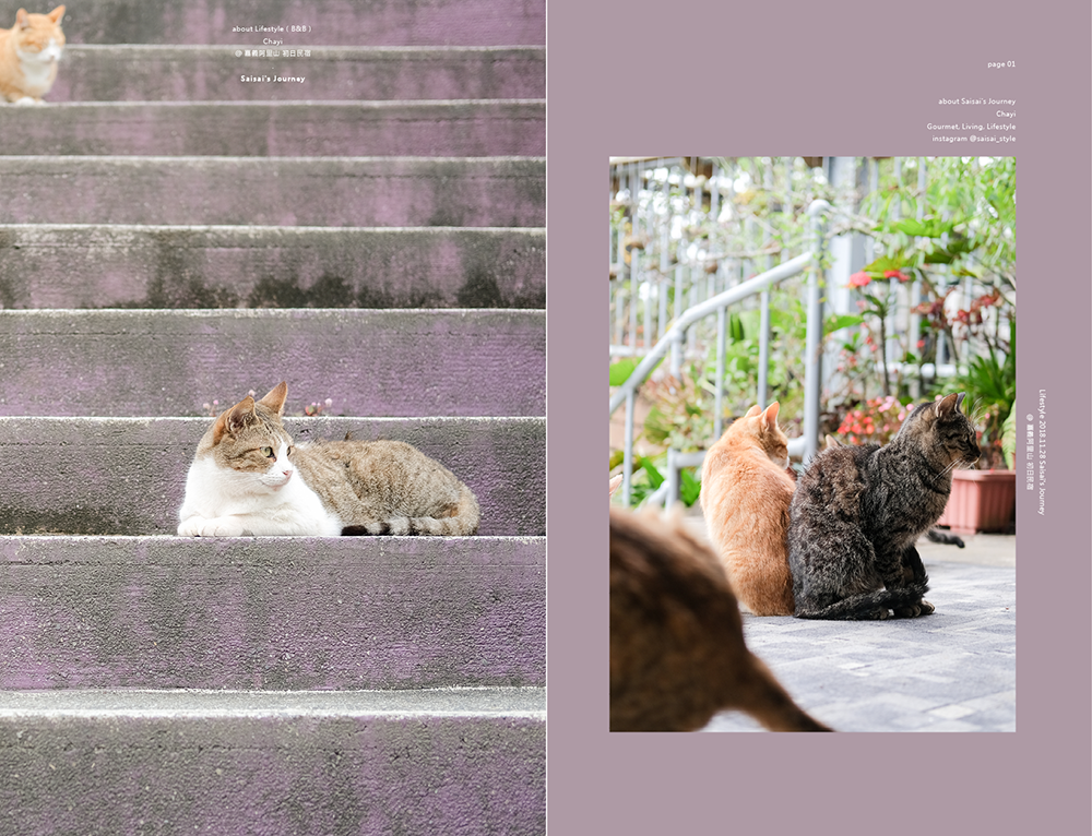 阿里山初日 初日民宿 嘉義阿里山民宿 民宿推薦 阿里山民宿 阿里山住宿 嘉義住宿 Saisai%5Cs Journey04.png 阿里山初日 初日民宿 嘉義阿里山民宿 民宿推薦 阿里山民宿 阿里山住宿 嘉義住宿 Saisai%5Cs Journey04.png