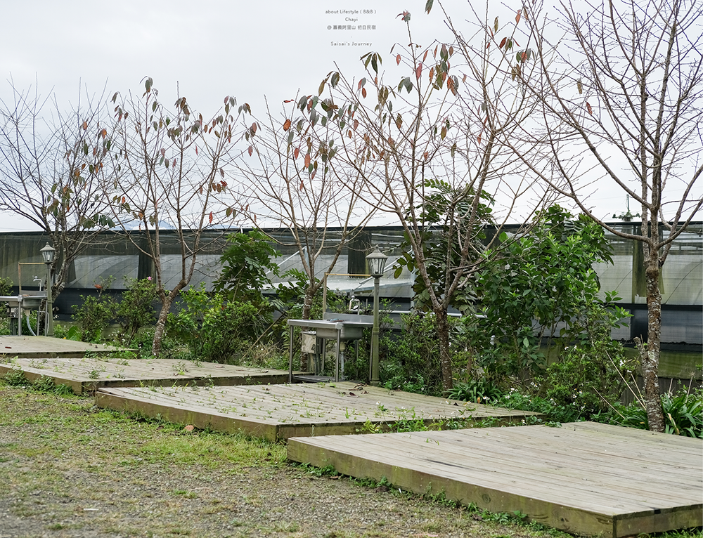 阿里山初日 初日民宿 嘉義阿里山民宿 民宿推薦 阿里山民宿 阿里山住宿 嘉義住宿 Saisai%5Cs Journey03.png 阿里山初日 初日民宿 嘉義阿里山民宿 民宿推薦 阿里山民宿 阿里山住宿 嘉義住宿 Saisai%5Cs Journey03.png